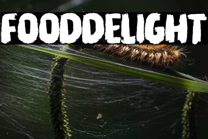 Food Delight Example 3