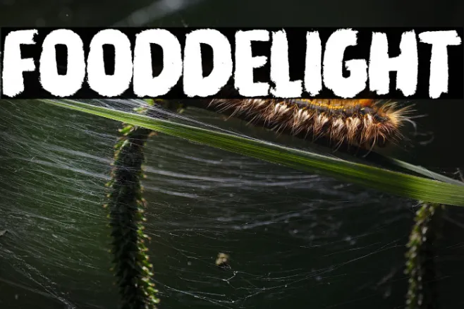 Food Delight Example 3