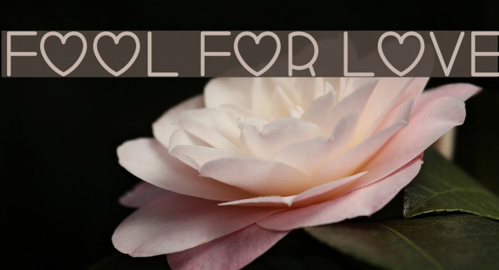 Fool For Love Example 2