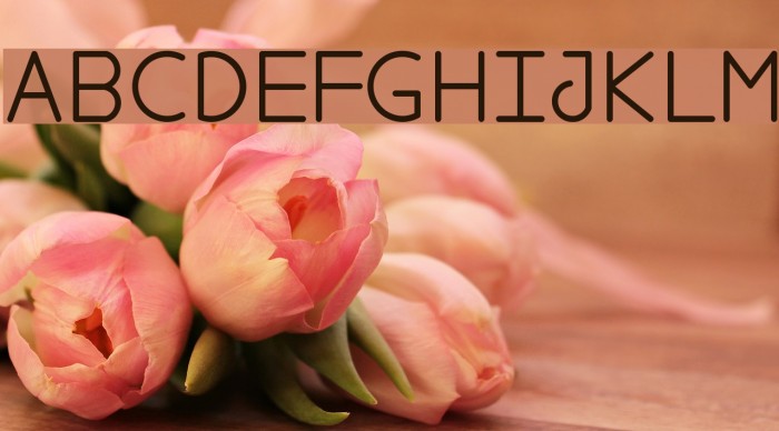 FoolForLove Example 2