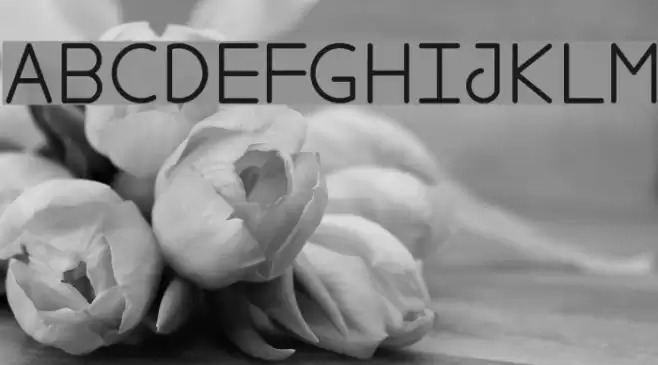 FoolForLove Font examples