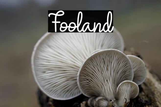 Fooland Example 2