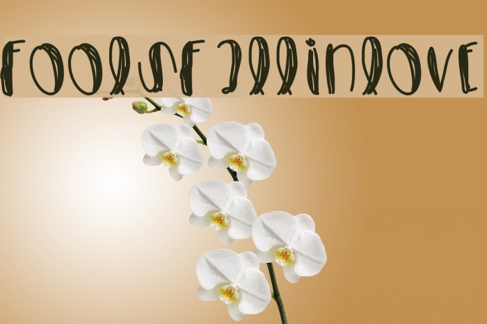 FoolsFallInLove Font examples