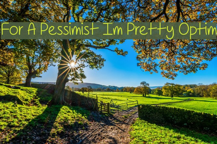 For A Pessimist Im Pretty Optim Example 2