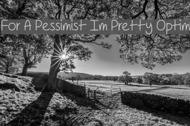 For A Pessimist Im Pretty Optim Font examples