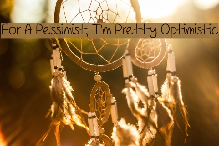 For A Pessimist, I'm Pretty Optimistic Polices examples