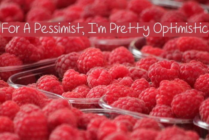 For A Pessimist, I'm Pretty Optimistic Polices examples