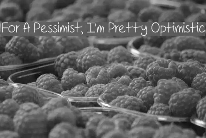For A Pessimist, I'm Pretty Optimistic Polices examples