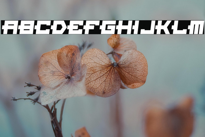 For The World Example 2