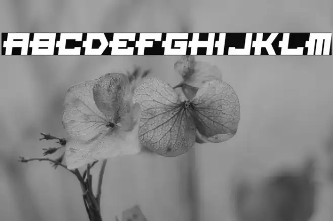 For The World Fuentes examples