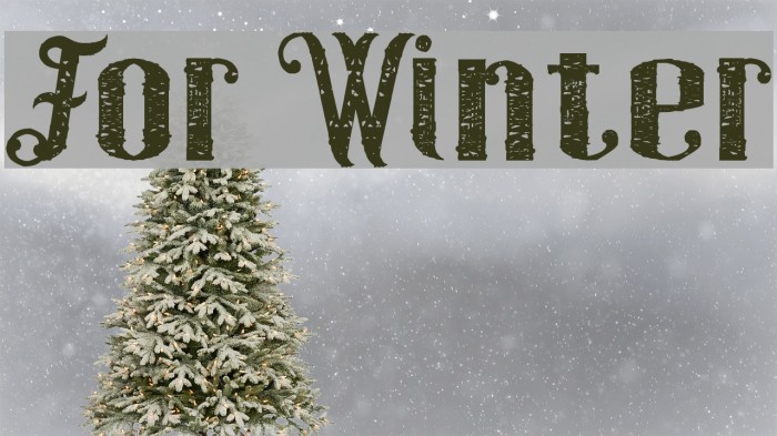 For Winter Font examples