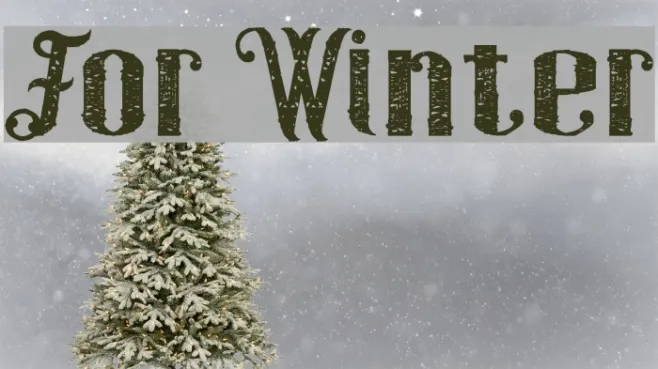For Winter Example 3