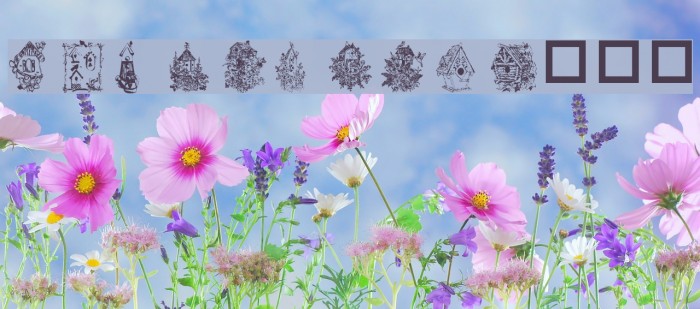 For the Birds Example 2