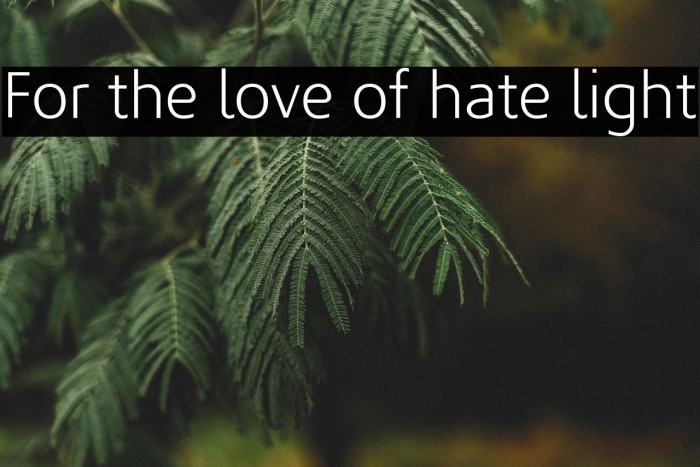 For the love of hate light Example 2