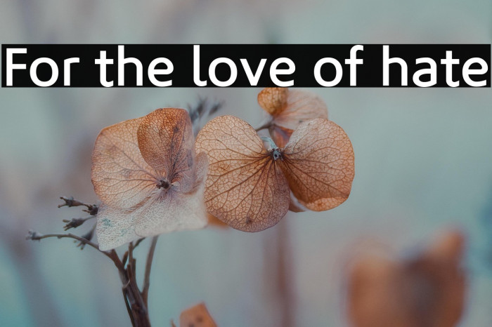 For the love of hate Example 1