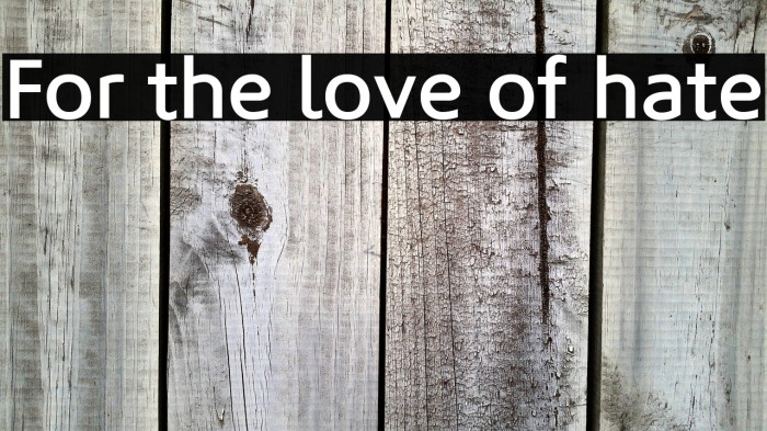 For the love of hate Example 2