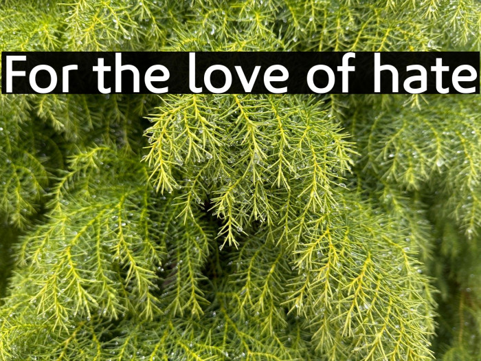 For the love of hate Example 3