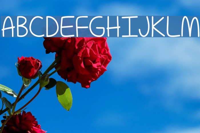 ForAPessimistImPrettyOptim Font examples