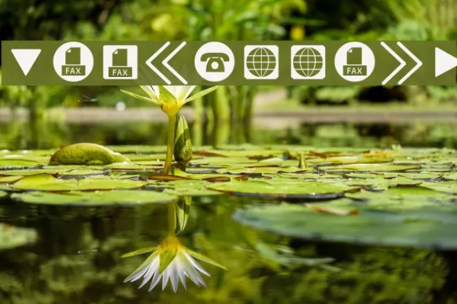 ForButtons Example 1