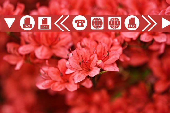 ForButtons Font examples