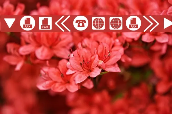 ForButtons Example 2