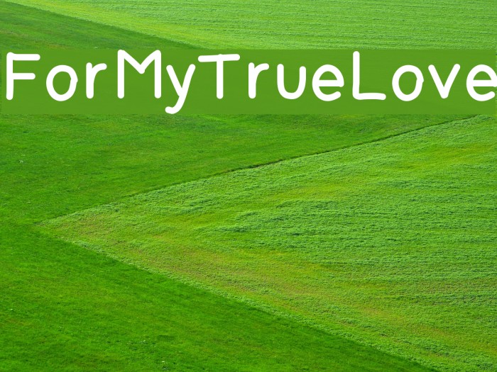 ForMyTrueLove Font examples