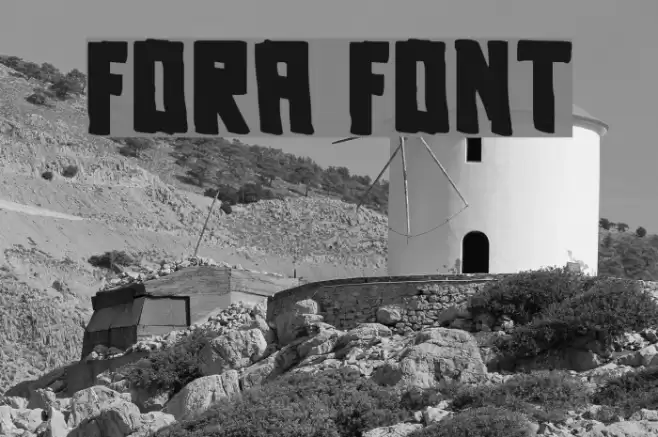 Fora Font examples