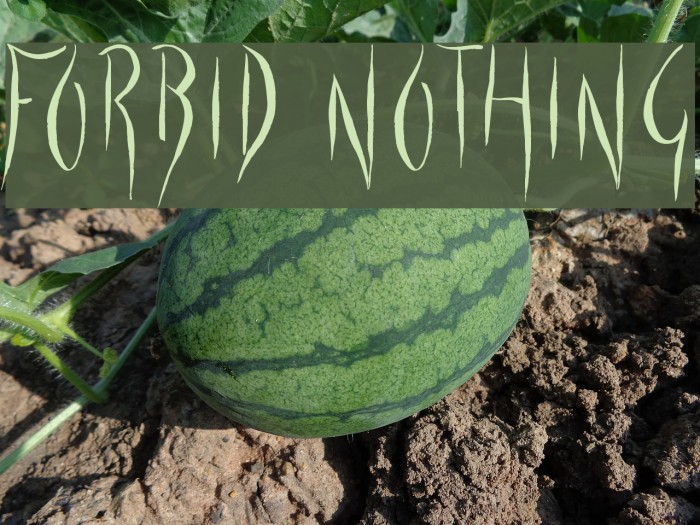 Forbid Nothing Font examples