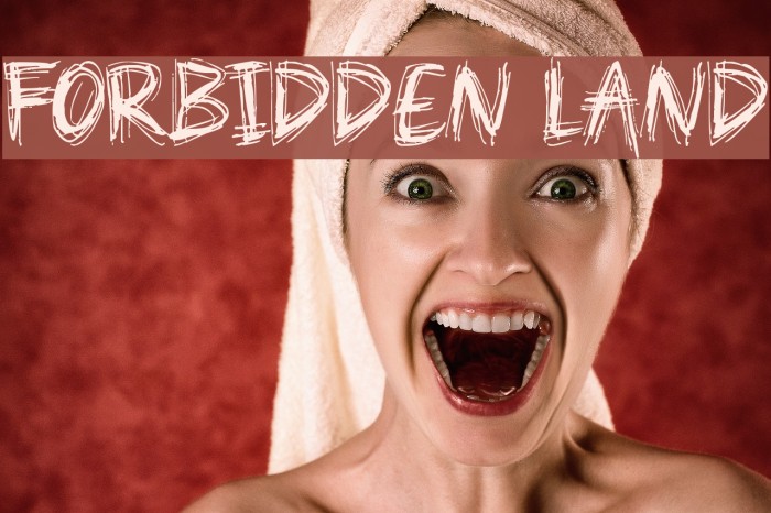 Forbidden Land Font examples