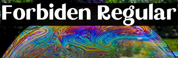 Forbiden Regular Example 2