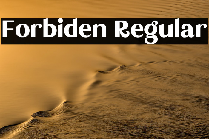 Forbiden Regular Example 3