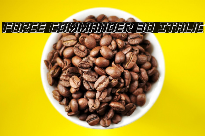 Force Commander 3D Italic Example 3