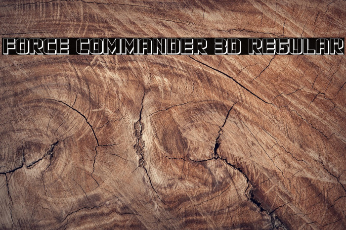 Force Commander 3D Regular Example 1