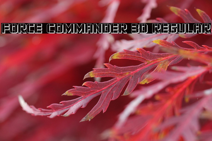 Force Commander 3D Regular Example 2