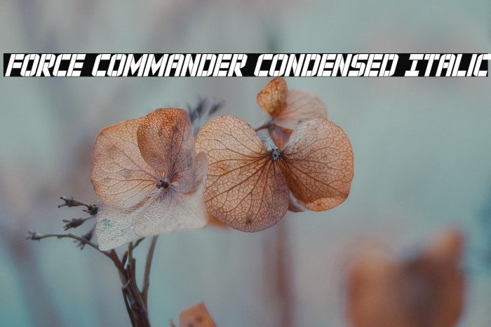 Force Commander Condensed Italic Example 2