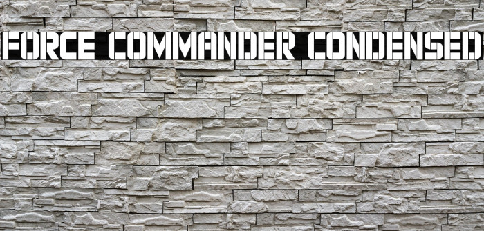 Force Commander Condensed Example 1