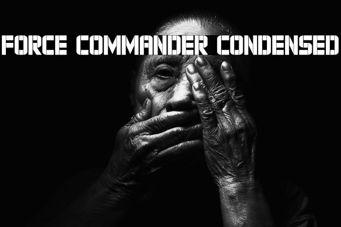 Force Commander Condensed Example 2