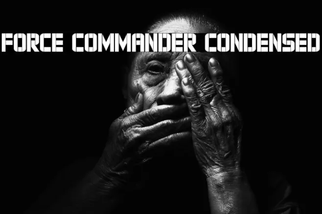 Force Commander Condensed Example 2
