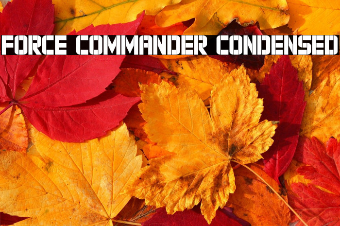 Force Commander Condensed Example 3
