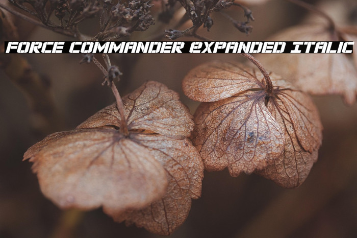 Force Commander Expanded Italic Example 1