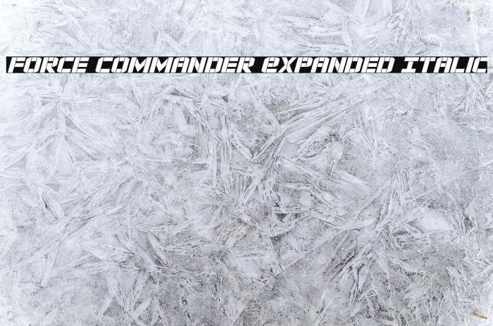 Force Commander Expanded Italic Example 2