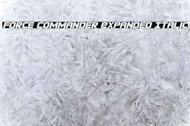 Force Commander Expanded Italic Example 2