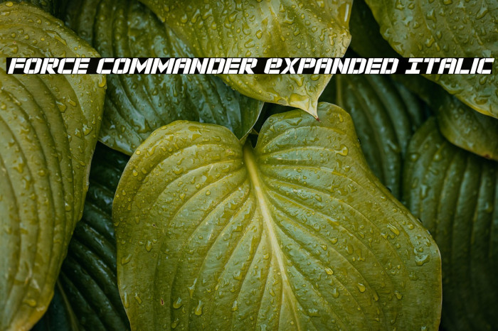 Force Commander Expanded Italic Example 3