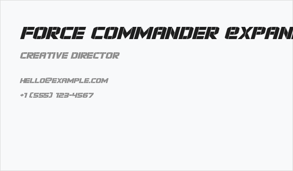 Force Commander Expanded Italic Business Card