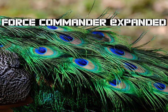 Force Commander Expanded Example 1