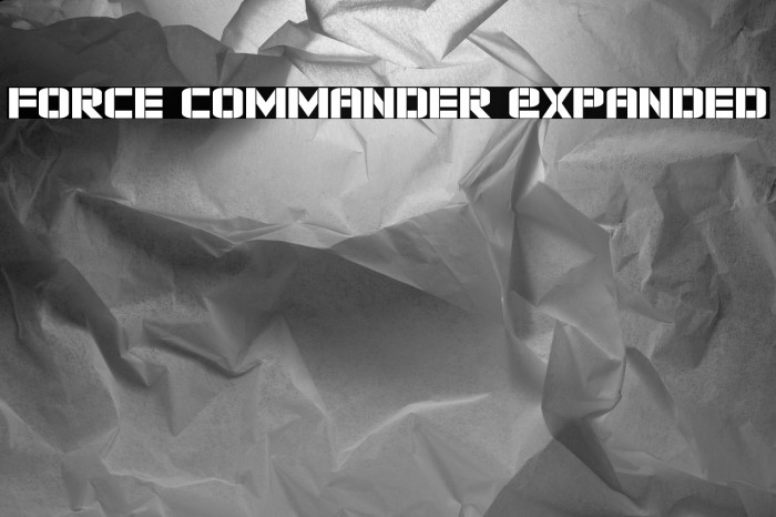 Force Commander Expanded Example 2