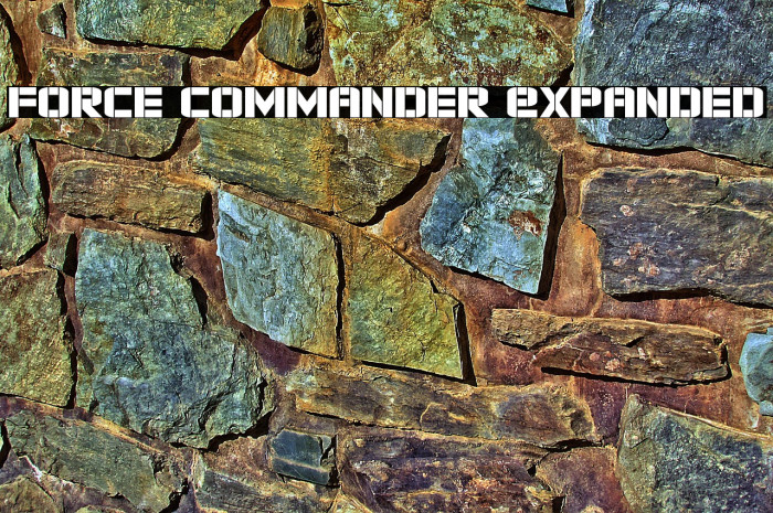 Force Commander Expanded Example 3