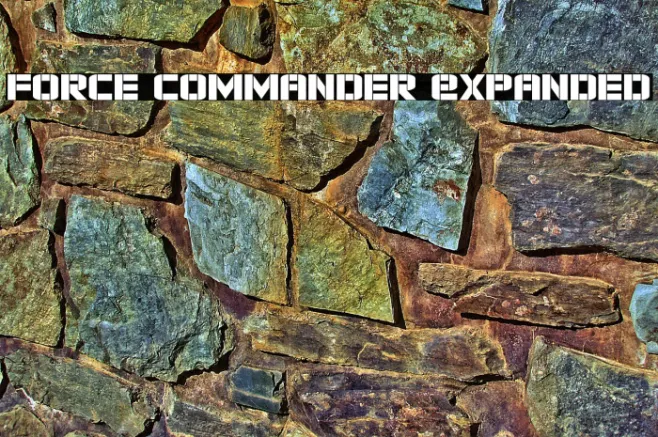 Force Commander Expanded Example 3