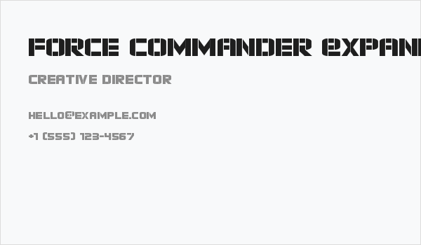 Force Commander Expanded Business Card