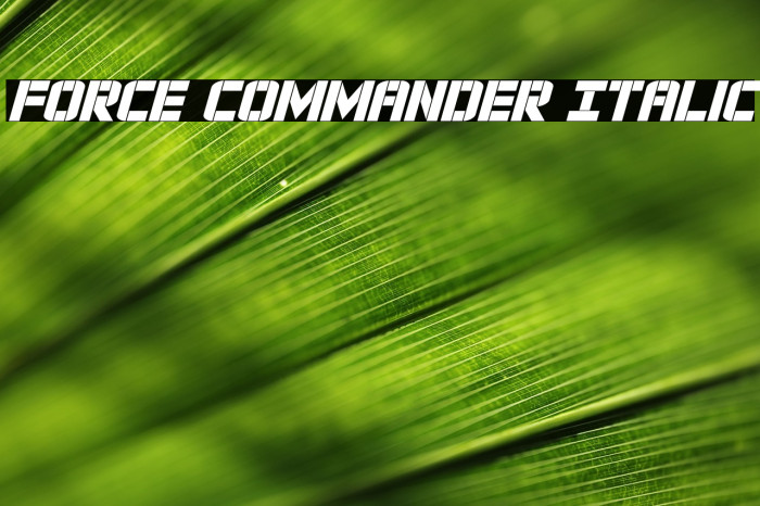 Force Commander Italic Example 1